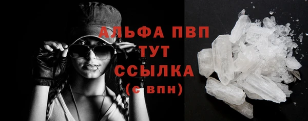 молекула духа Володарск