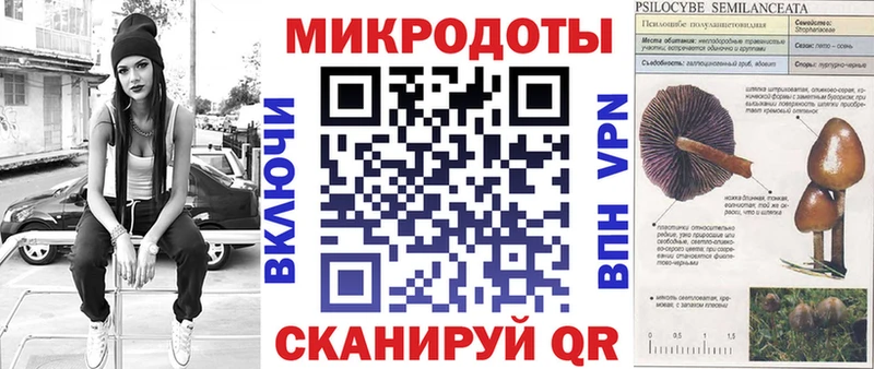 Галлюциногенные грибы мухоморы  Дмитриев 