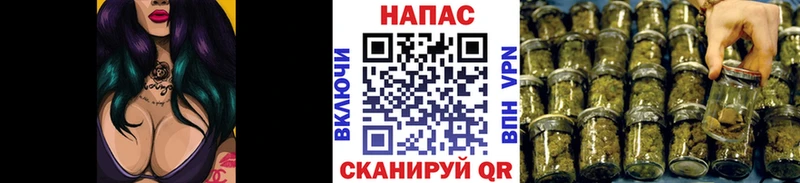 МАРИХУАНА White Widow  Дмитриев 